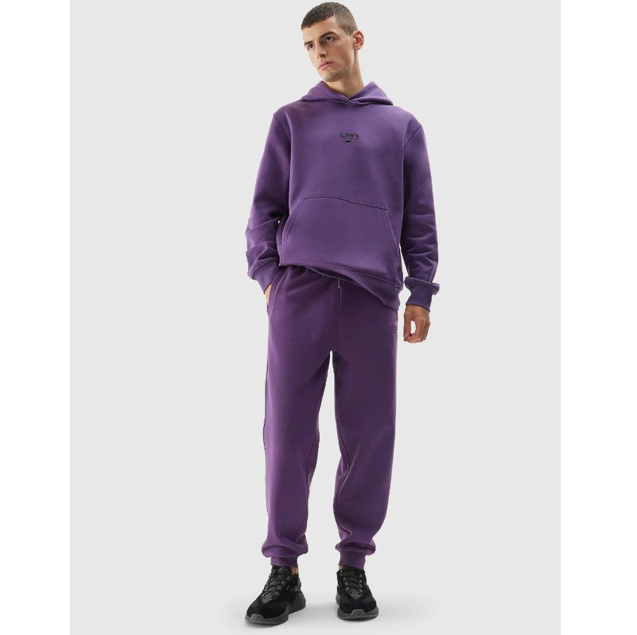 Pantaloni sport 4F 4faw23ttrom466 burgundy