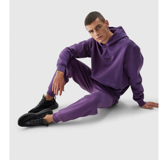 Спортивные штаны 4F 4faw23ttrom466 burgundy