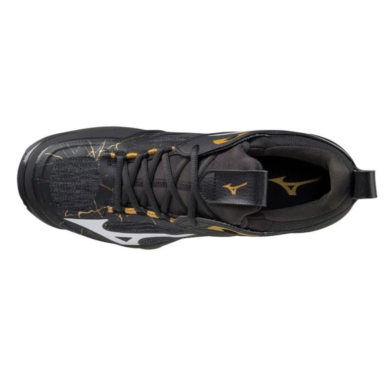 Adidași bărbați pentru volei Mizuno Wave Momentum 2(U) V1GA2112 41