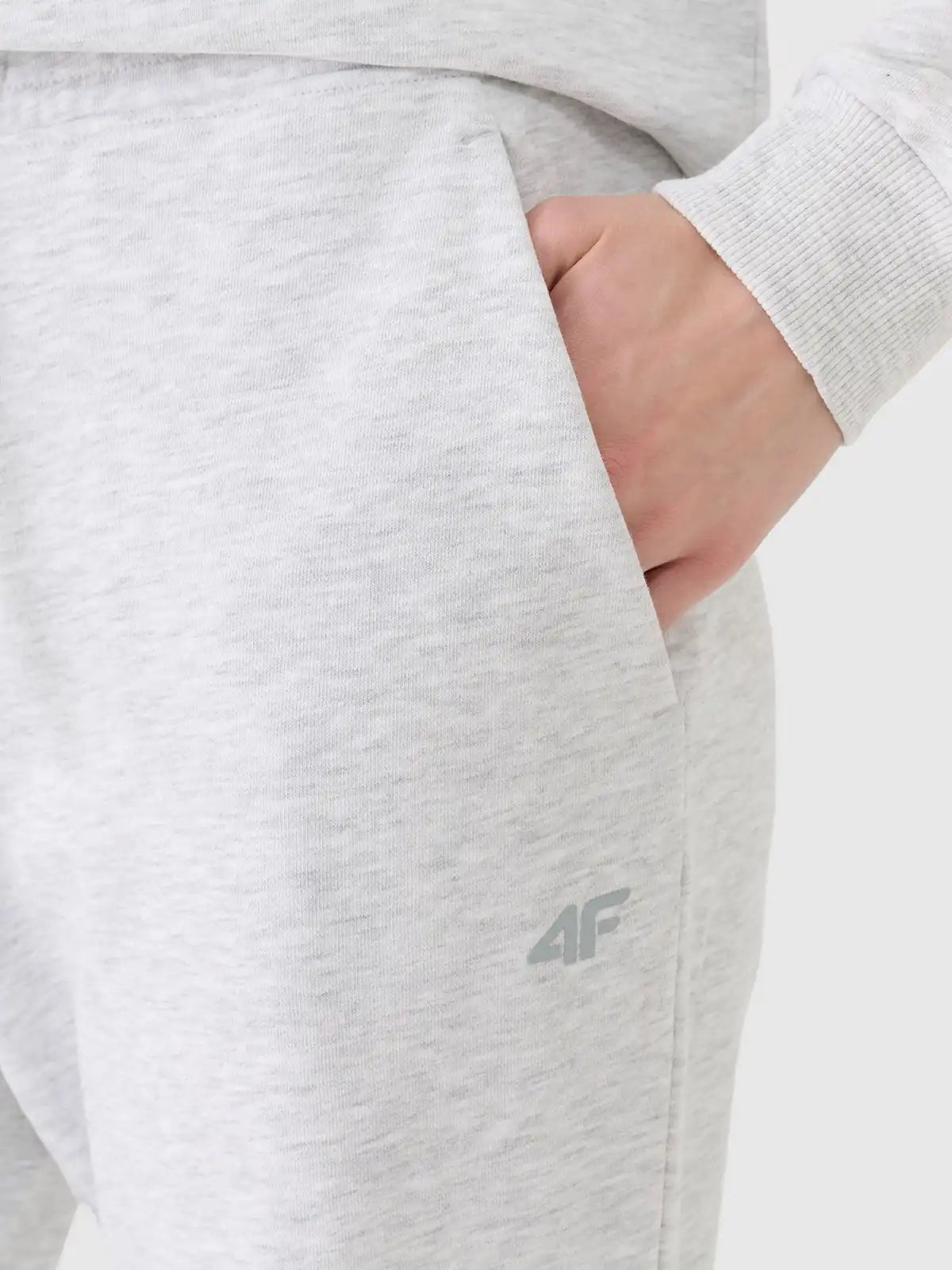 Женские спортивные штаны 4F F1138 4FWMM00TTROF1138 grey