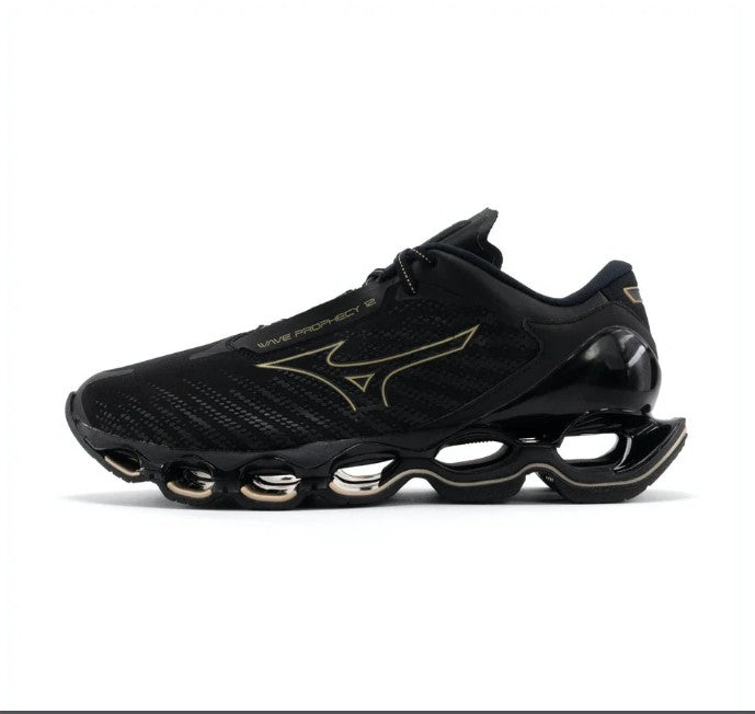 Кроссовки женские Mizuno wave prophecy 12 j1gc2383 33