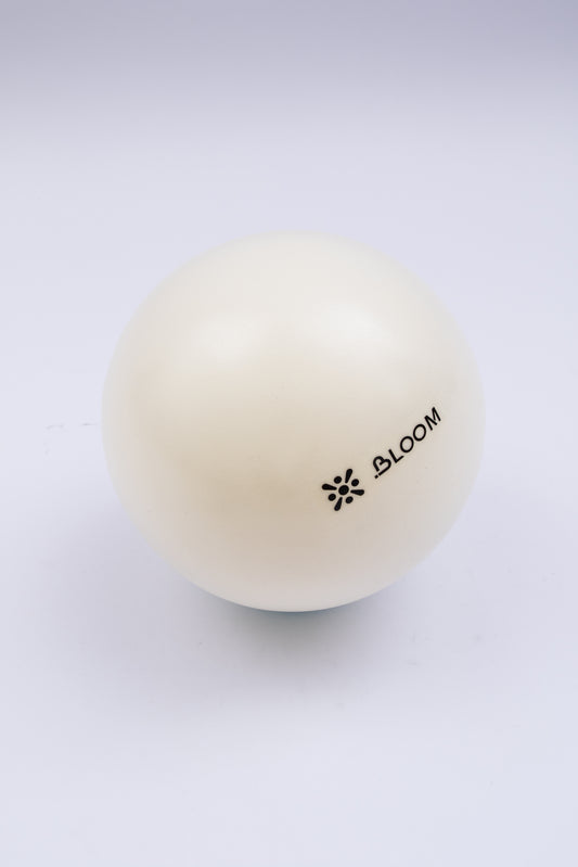 Мячи для пилатеса LiveUp LB7000