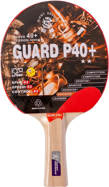Набор для настольного тенниса Giant Dragon GD Guard ST12201P40+