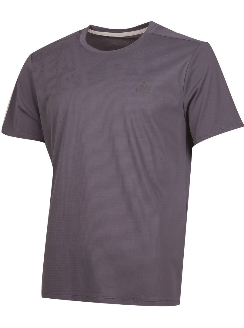 Tricou de alergare pentru bărbați Peak FW6252131 grey purple