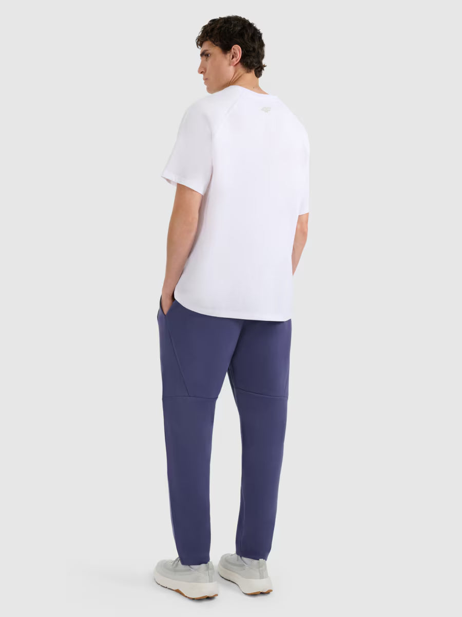 Мужские джоггеры casual 4F M1194 4FWAW25TTROM1194 anthracite