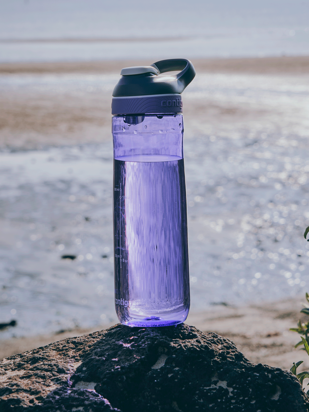 Бутылка для воды Contigo Cortland 720 ml Grapevine 2191389