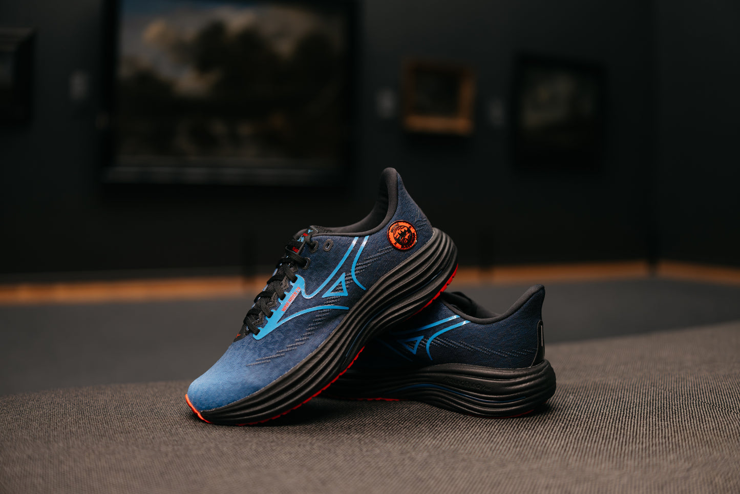 Кроссовки мужские для бега Mizuno WAVE RIDER 29 AMSTERDAM J1GC2562 01
