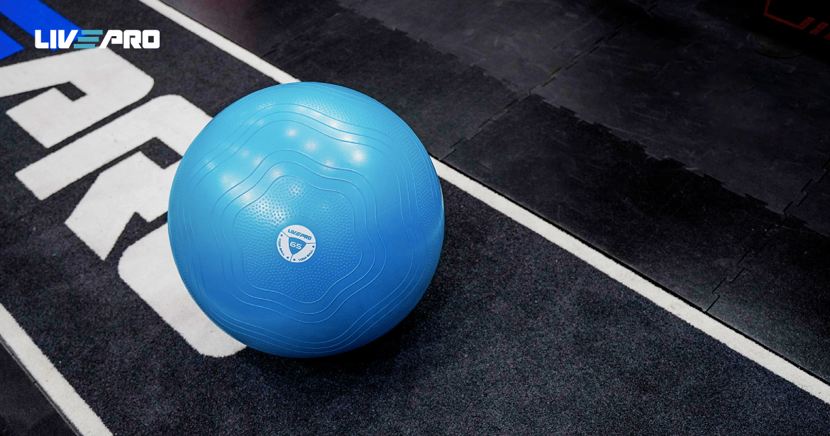 Fitball LivePro LP8201
