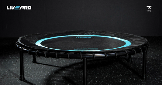 Батут для фитнеса LivePro LP8250/BK