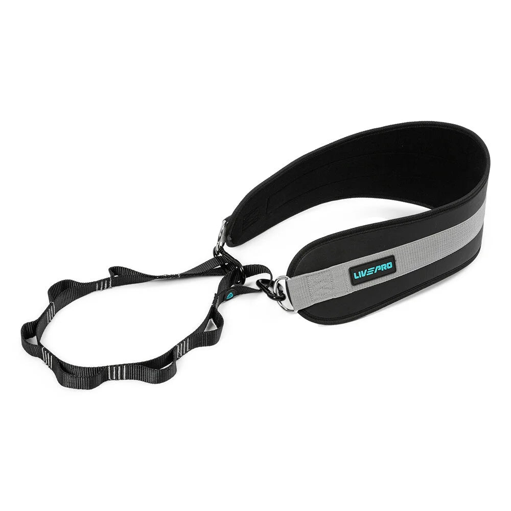 Пояс для отягощения Dip belt LP8098