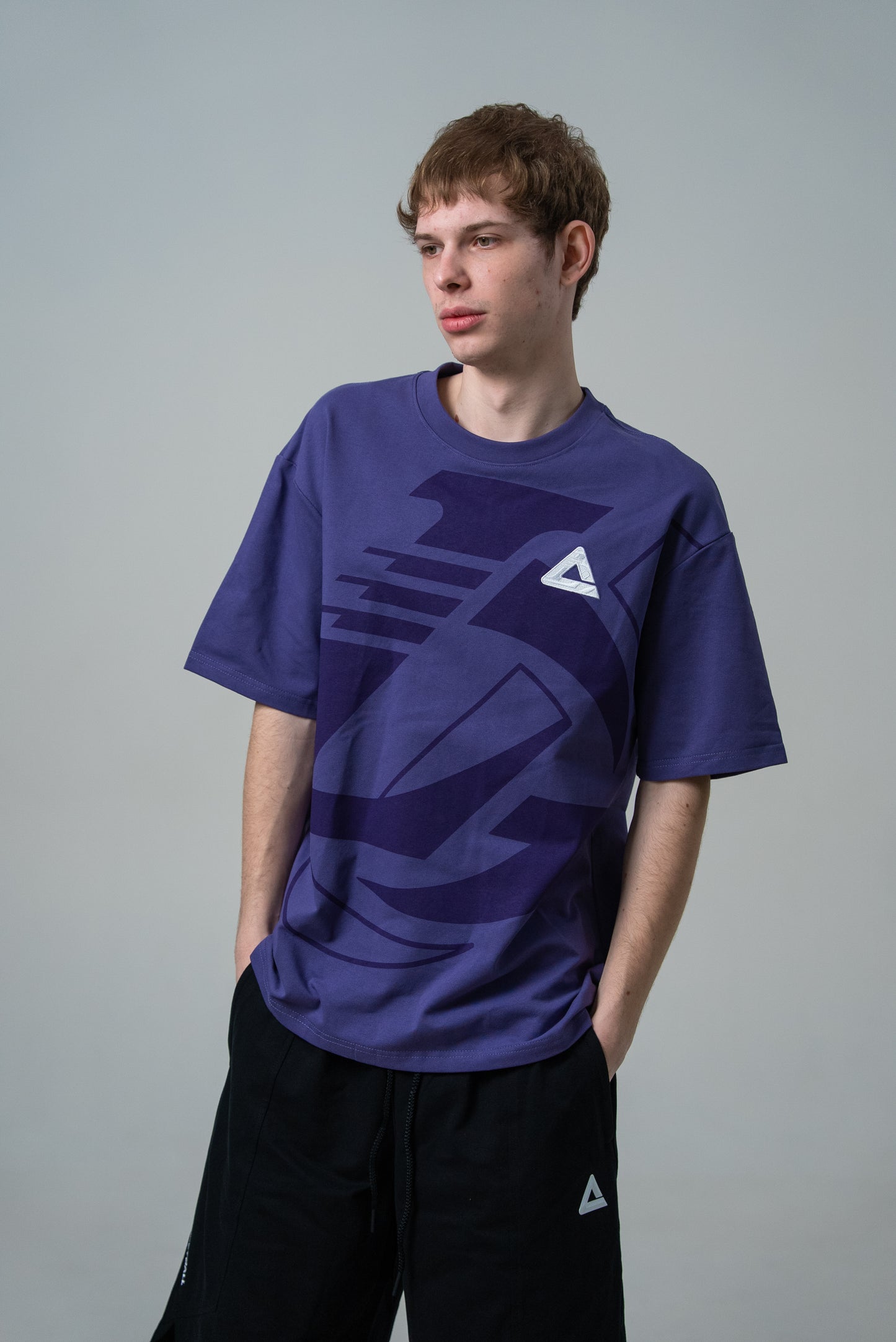 Мужская футболка casual Peak FW6253711 purple