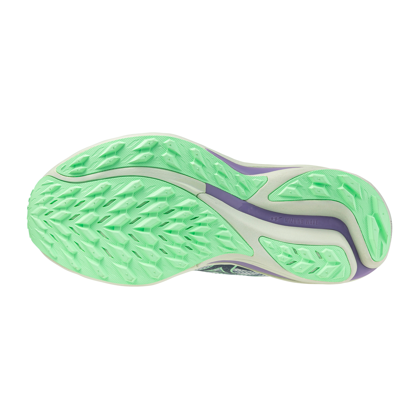 Adidași femei pentru trailrunning Mizuno Wave Rider GTX 2 J1GD2479 71