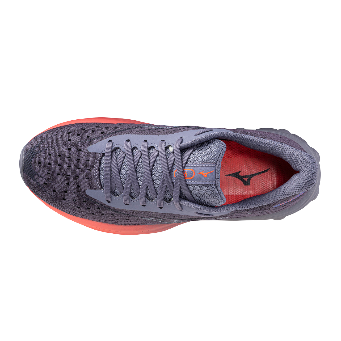 Кроссовки женские для бега Mizuno WAVE SKYRISE 6 J1GD2509 71