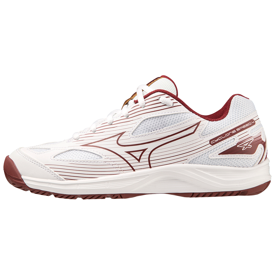 Кроссовки женские для волейбола Mizuno CYCLONE SPEED 4 V1GC238045