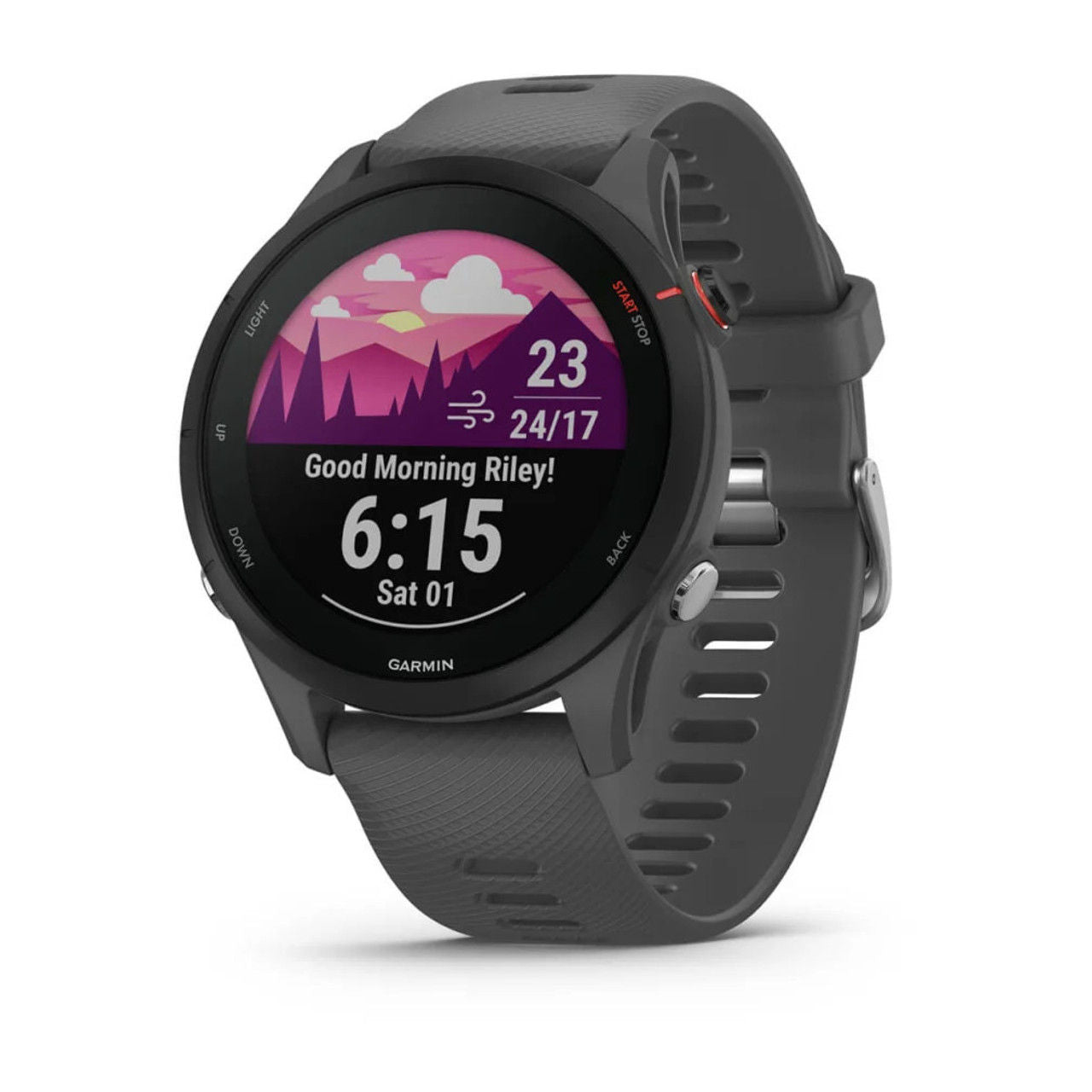 Смарт - часы 010-02641-10 garmin forerunner 255, slate grey
