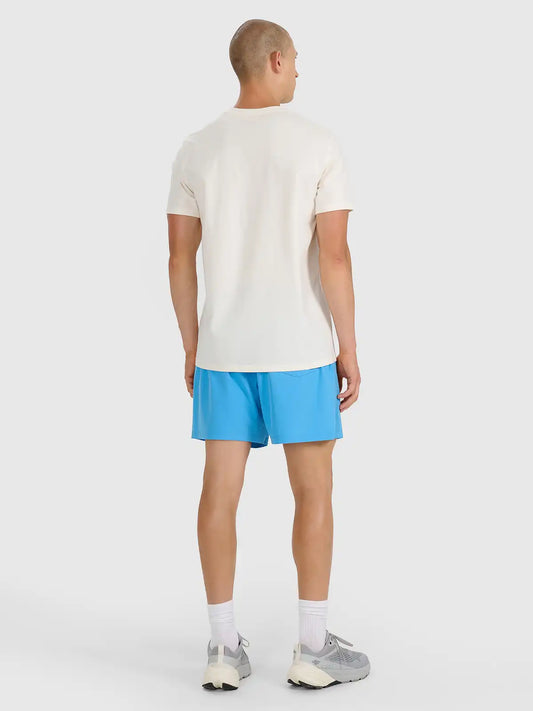 Мужские пляжные шорты 4F M134 4FWSS25UBDSM134 blue