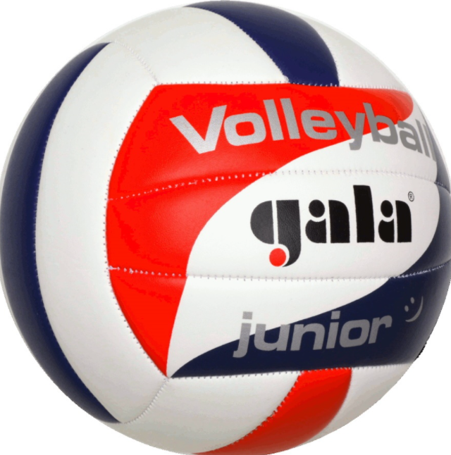 Minge pentru volei Gala 5 Junior 5093
