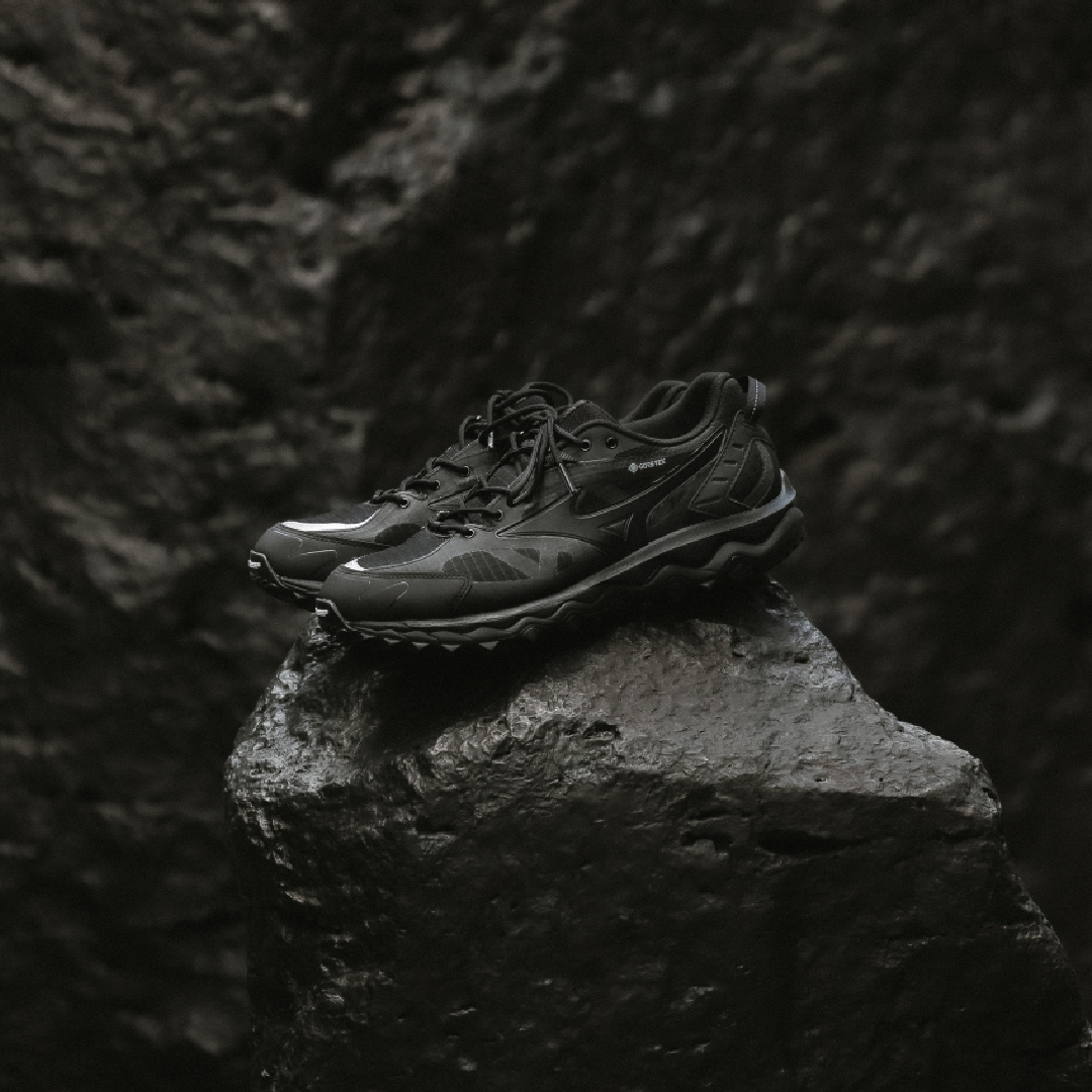 Кроссовки мужские Mizuno WAVE MUJIN TL GTX(U) d1ga2373 01