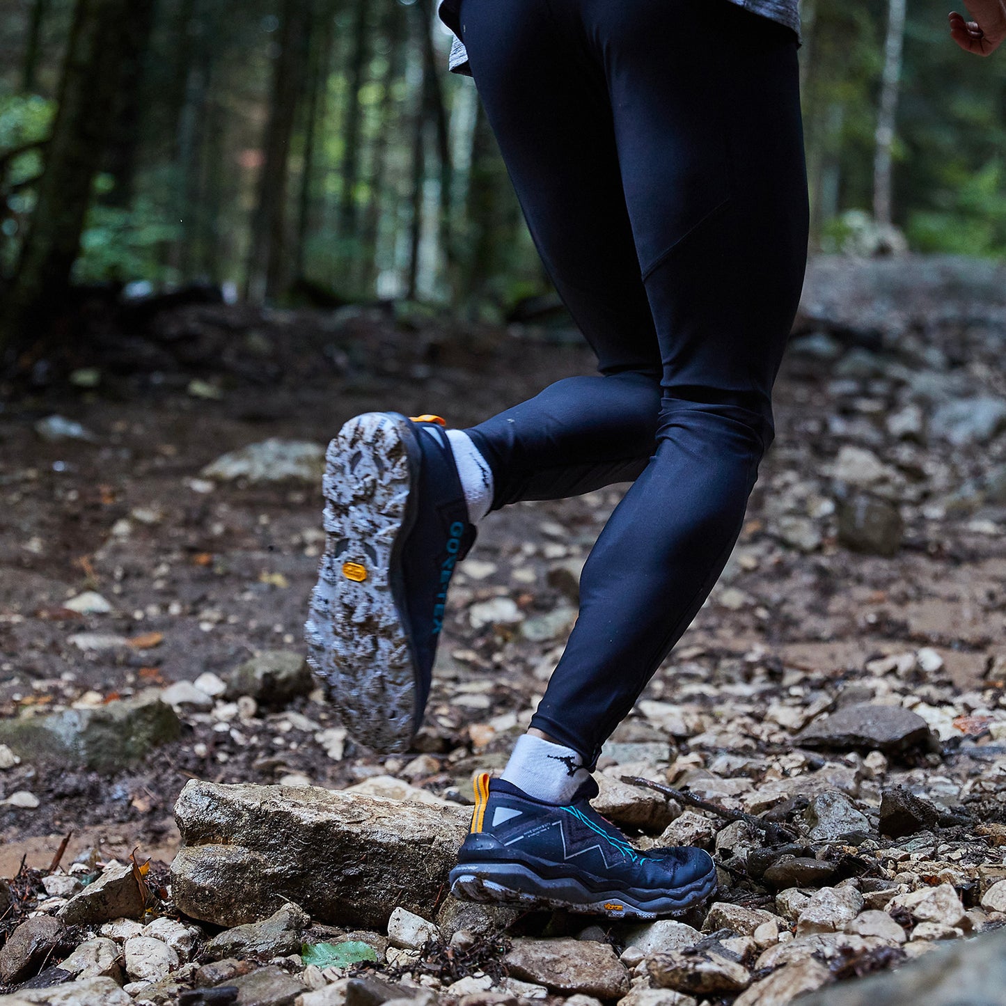 Adidași bărbați pentru trailrunning Mizuno WAVE DAICHI 9 GTX J1GJ2556 51