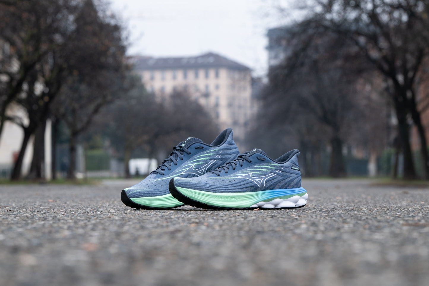Кроссовки мужские для бега Mizuno WAVE SKYRISE 6 J1GC2509 01
