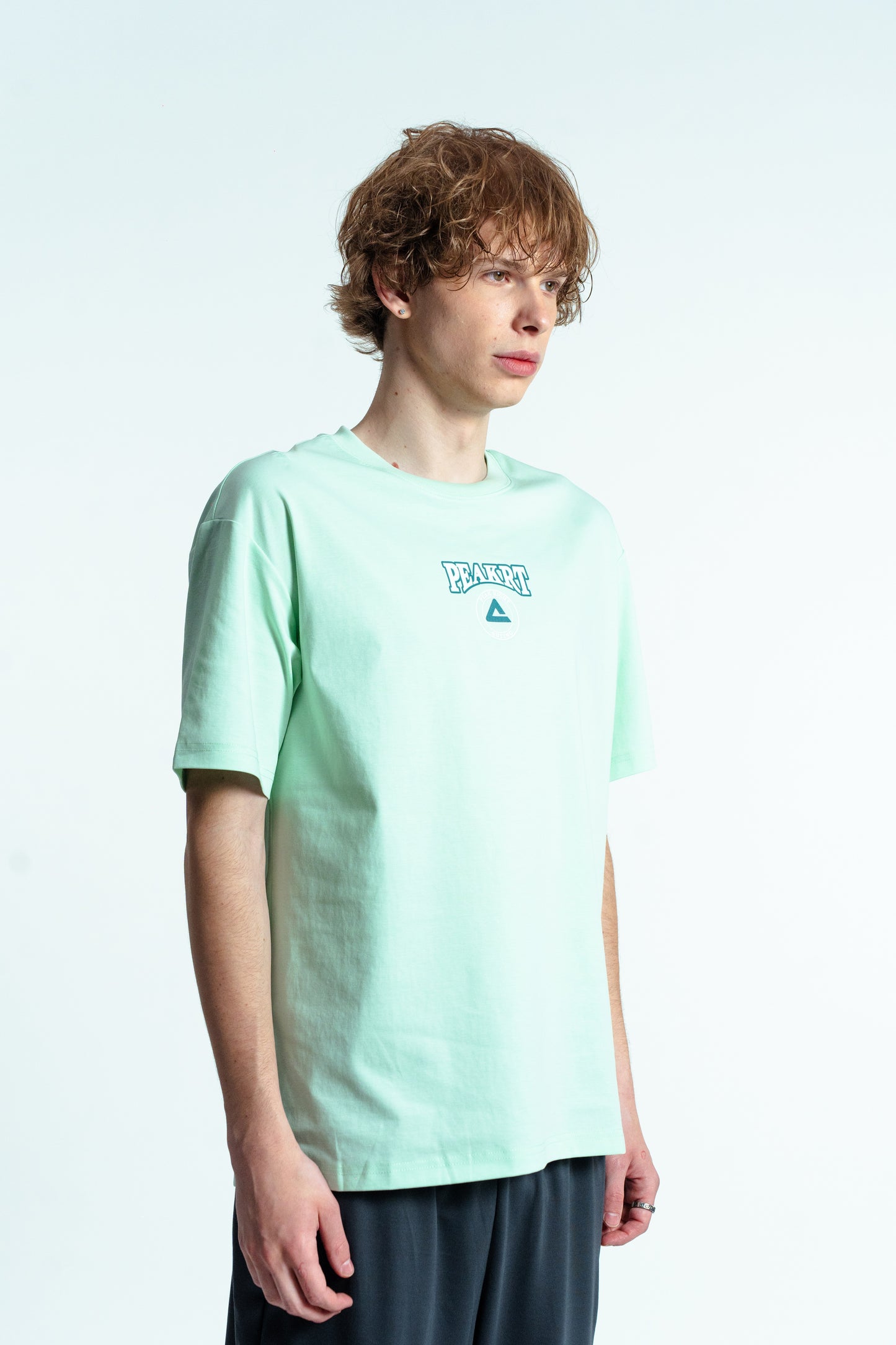 Мужская футболка casual Peak FW6252071 green