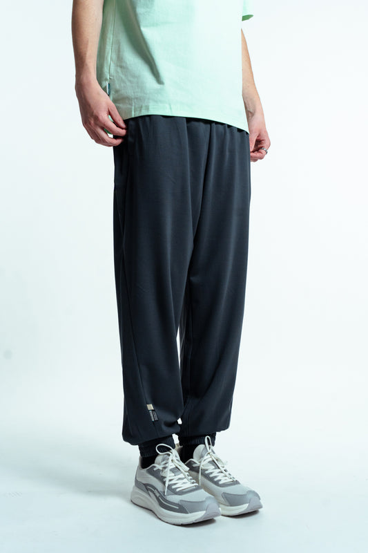 Мужские спортивные штаны Peak FW3252411 dk.grey blue