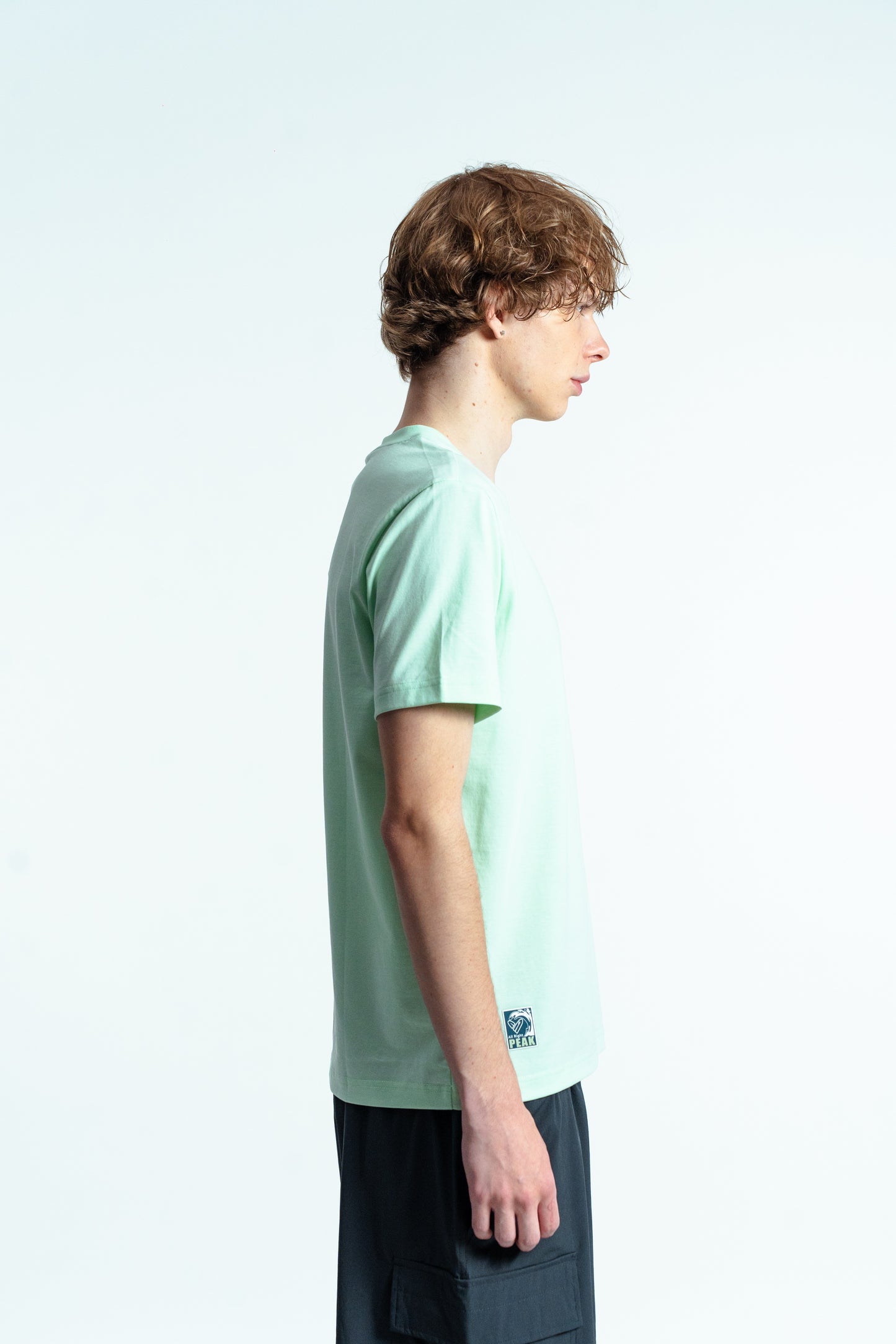 Tricou pentru bărbați casual Peak FW6252711 green
