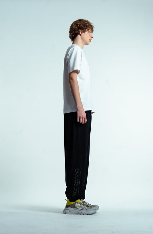 Мужские спортивные штаны Peak FW3252491 black