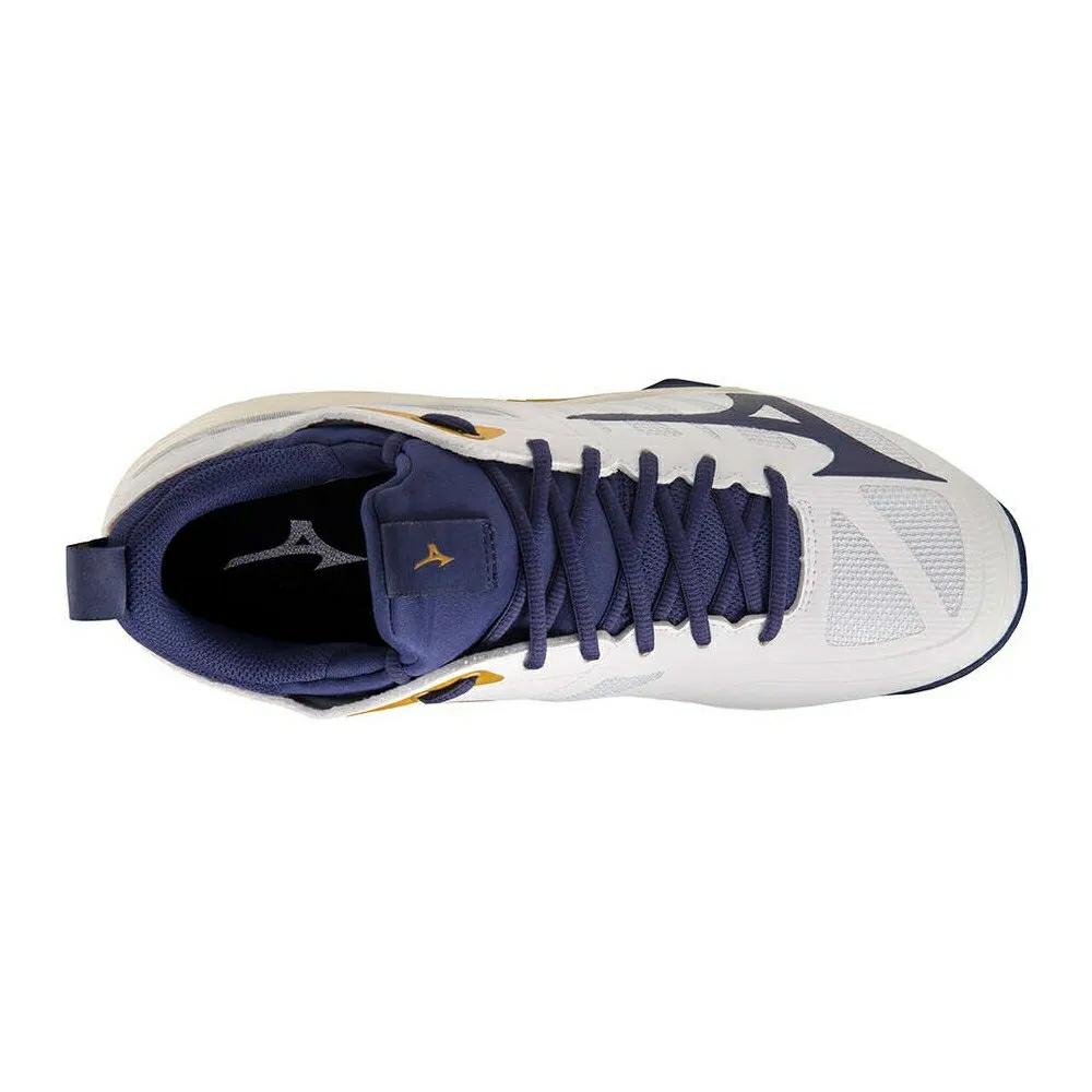 Кроссовки мужские для волейбола Mizuno WAVE DIMENSION V1GA224043