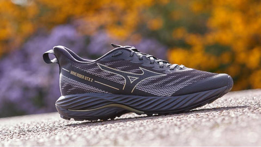 Кроссовки мужские для трейлраннинга Mizuno Wave Rider GTX 2 J1GC2479 21