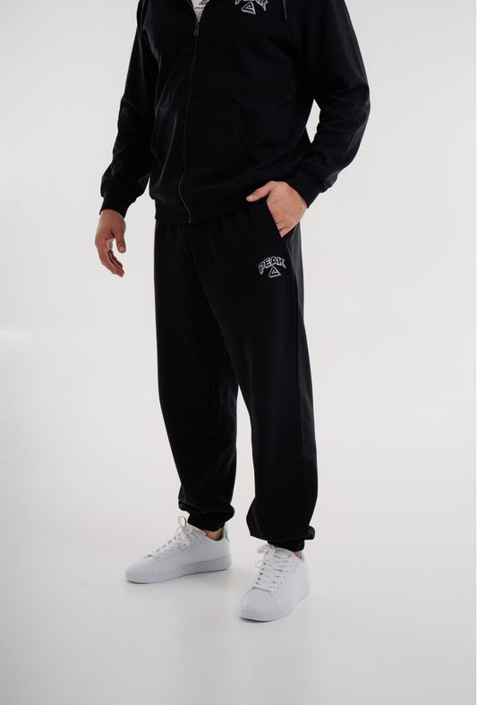 Мужские спортивные штаны Peak FWB253031 black
