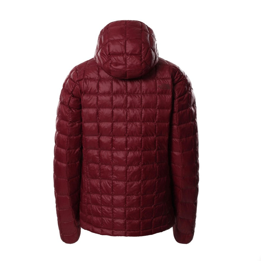 Куртка TheNorthFace w tball eco hdie regal red nf0a5glcd4s1005