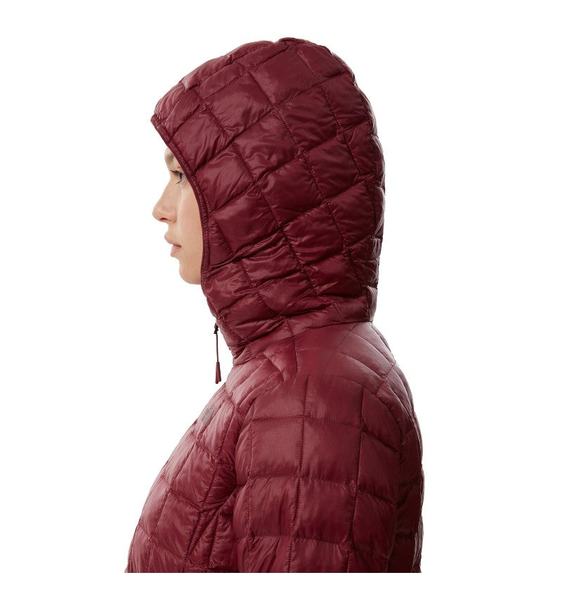 Куртка TheNorthFace w tball eco hdie regal red nf0a5glcd4s1005