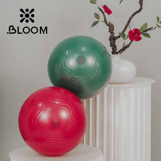 Fitball LiveUp BLOOM Mini Ball LB7001/20/RD