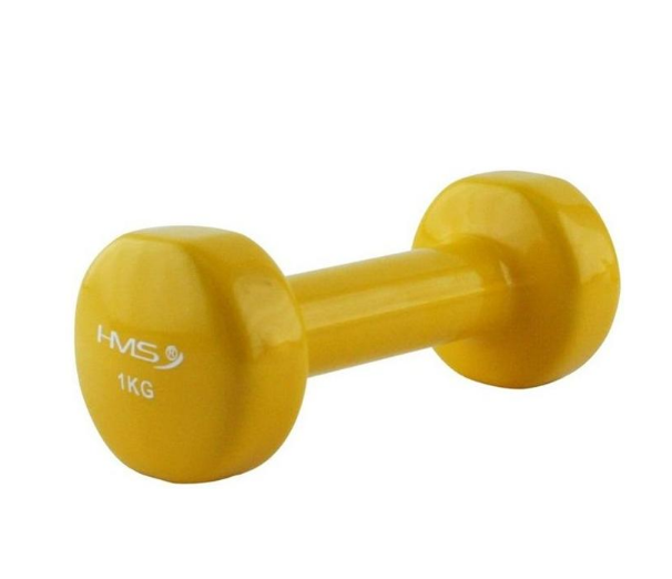 Виниловая гантель Abisal HMS 17023