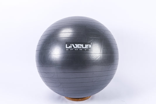 Fitball LiveUp LS3222/75/GY