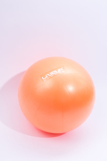 Фитбол LiveUp Mini Ball LS3225/25/OG