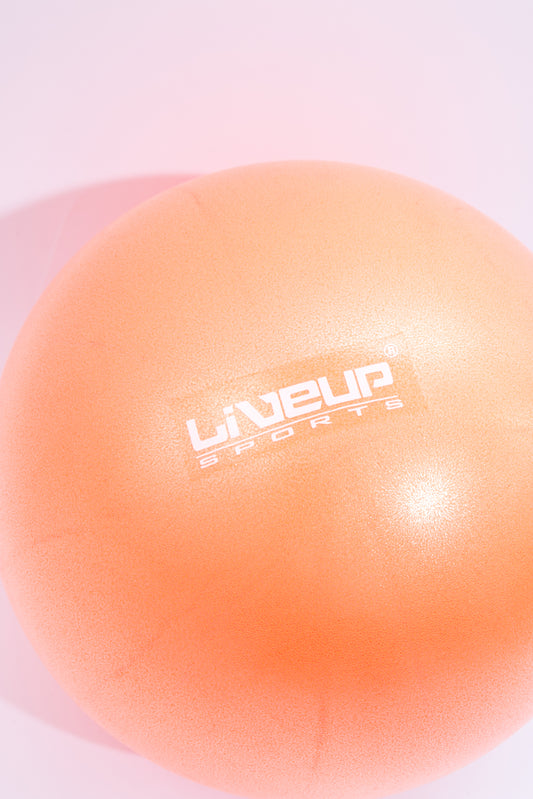 Фитбол LiveUp Mini Ball LS3225/25/OG