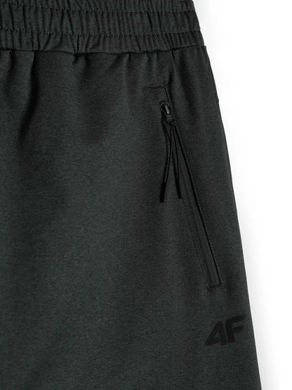 Мужские спортивные штаны 4F  M1424 4FWAW26TFTRM1424 anthracite melange