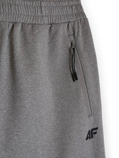 Мужские спортивные штаны 4F  M1424 4FWAW26TFTRM1424 grey melange