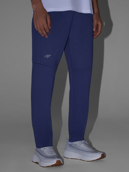 Мужские джоггеры casual 4F M1194 4FWAW25TTROM1194 anthracite