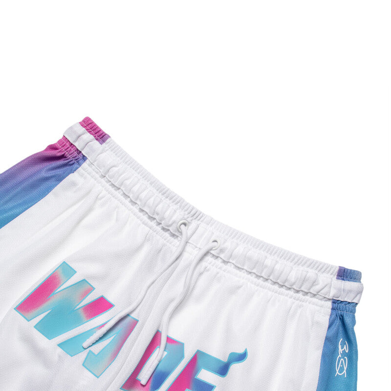 Мужские баскетбольные шорты Li-Ning Wade AAPT051-4B