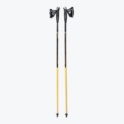 Bețe pentru mersul nordic Masters NW Physique 0.1 01N0319