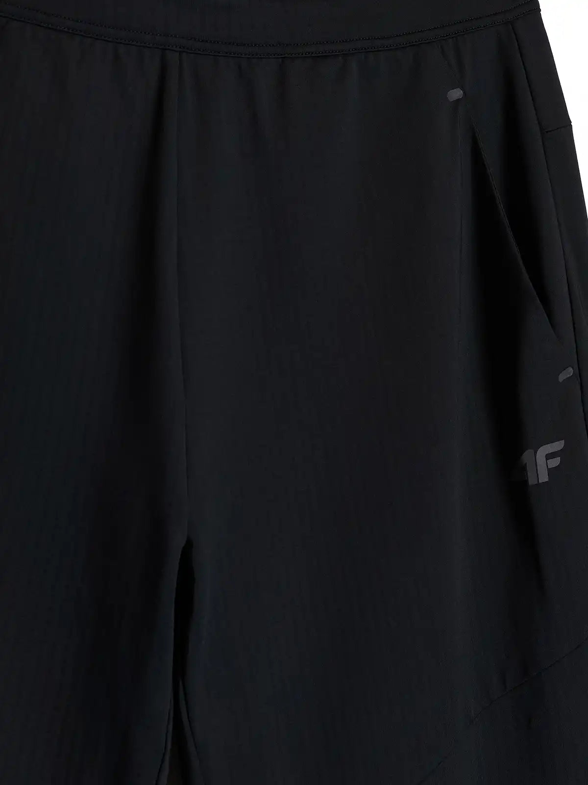 Мужские спортивные штаны 4F M1804 4FWAW26TTROM1804 deep black