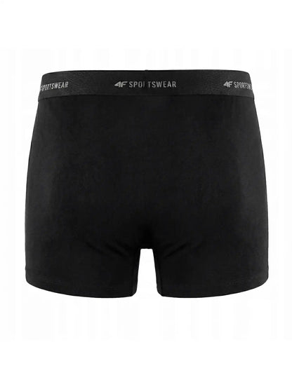 Трусы-боксеры 4F M080 (2pack) 4FWMM00UBXSM080 deep black