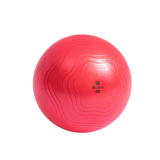 Fitball LiveUp BLOOM Mini Ball LB7001/20/RD