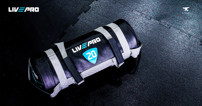 Мешок для кроссфита LivePro POWER BAG LP8120