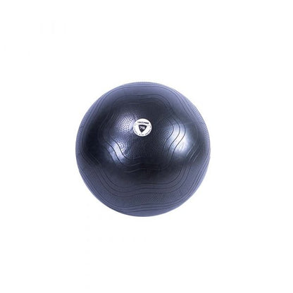 Fitball LivePro LP8201