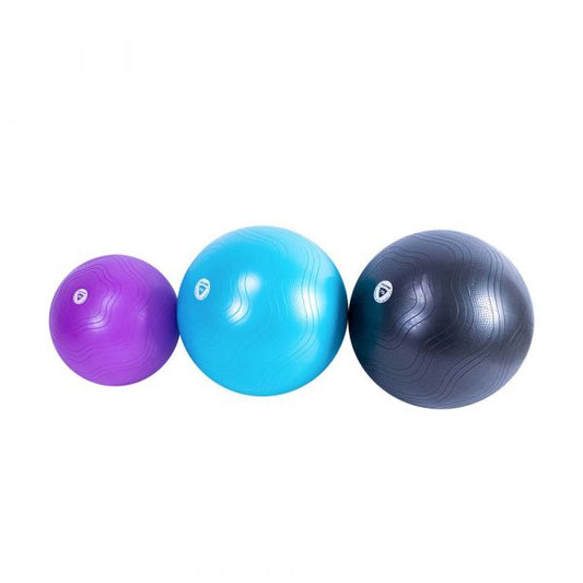 Fitball LivePro LP8201