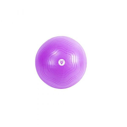 Fitball LivePro LP8201